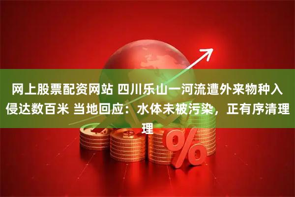 网上股票配资网站 四川乐山一河流遭外来物种入侵达数百米 当地回应：水体未被污染，正有序清理